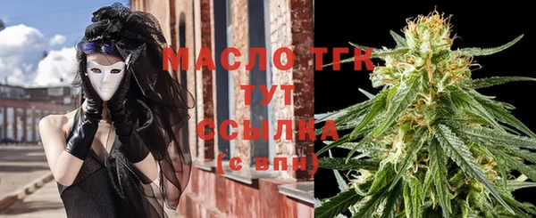 прущие грибы Аркадак