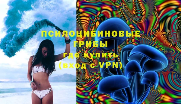 прущие грибы Аркадак