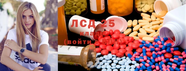 прущие грибы Аркадак