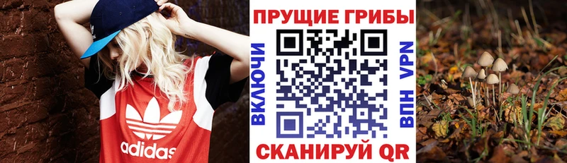 Галлюциногенные грибы прущие грибы даркнет сайт Ряжск
